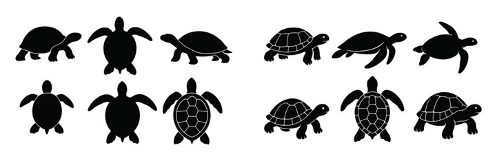 Various silhouettes of turtles and tortoises displayed on a white background