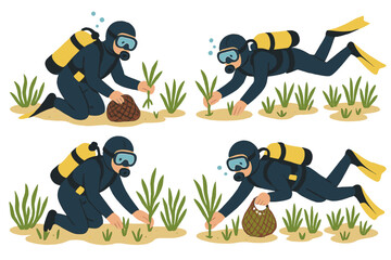 Underwater divers planting seagrass for habitat restoration in a coastal area