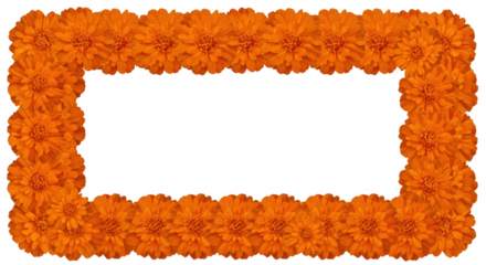 Floral frame made of marigolds isolated on transparent background