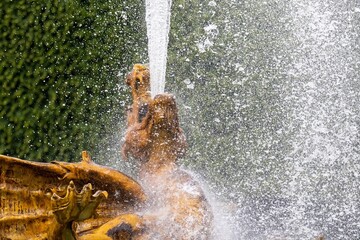 fountain in the park