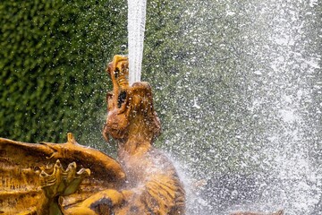 fountain in the park