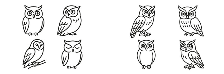 Multiple illustrations of owls in various poses showcasing their characteristics and diverse features, set against a plain background