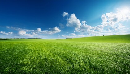 Obraz premium scenic green meadow under a blue sky
