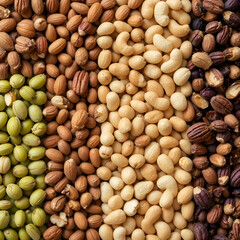 Fototapeta premium A set of assorted nuts and dried fruits including pecans, pistachios, almonds, peanuts, cashews, and pine nuts neatly.