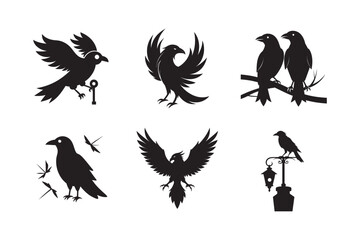 Mystic Crow Vector Dark Edition Set