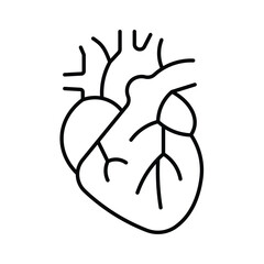 Human heart anatomy organ internal cardiovascular system line icon vector illustration for medical healthcare biology science education design.