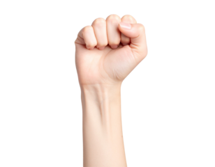 Female forearm with hand closed as a fist on white or transparent background.