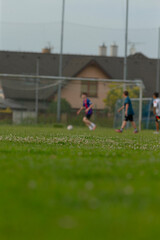 A group of enthusiastic players actively engage in a thrilling soccer match on a vibrant green...