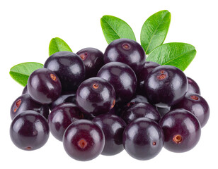 Fototapeta premium Fresh acai fruit isolated on transparent background. PNG file, cut out.