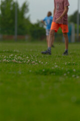 A group of children joyfully plays on an open field full of colorful flowers, showcasing the...
