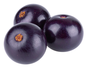 Fresh acai fruit isolated on transparent background. PNG file, cut out.