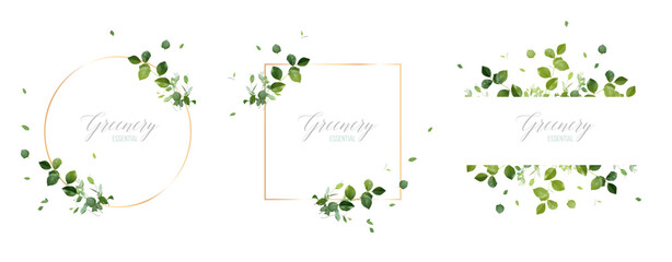 Herbs and greenery vector banners. Hand painted plants, branches, leaves on a white backgrounds. Greenery wedding simple logo templates. Watercolor style cards. All elements are isolated and editable