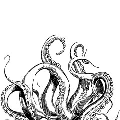 Octopus tentacles. Engraved hand drawn in old sketch, vintage creature. Nautical or marine, monster. Animal in the ocean. Template for logos, labels and emblems.
