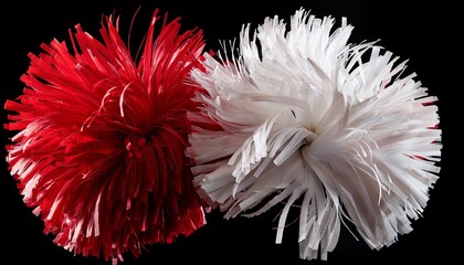 red and white cheerleading pom pom on black background cut out
