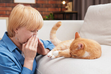 Senior woman suffering from allergy with her cat at home