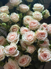 Bouquet of roses. Roses tenderness. 