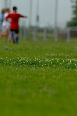 On a vibrant soccer field, two enthusiastic youth players practice diligently, demonstrating teamwork and dedication through hard work to improve their skills and performance