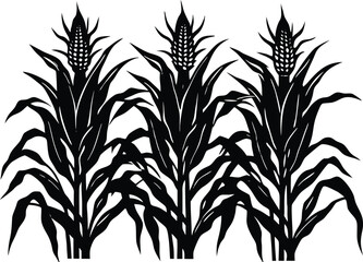 Corn silhouettes vector. Maize field silhouette. Cultivation of crops