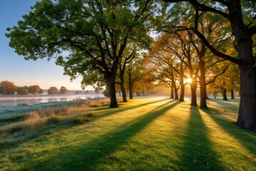 Sun shining through trees in autumn park by the lake