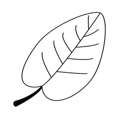 Leaf outline icon. Vector illustration