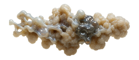 Misfolded protein aggregate with amorphous mass and irregular surface texture