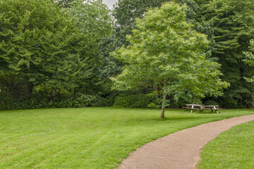Path through a green park with a picnic table.
