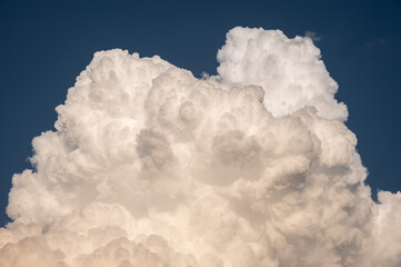 Cumulonimbus clouds appear on the sky. Cumulonimbus clouds almost always signal that there is a...