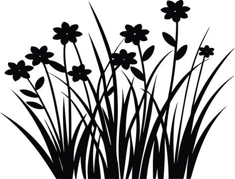 grass and flowers