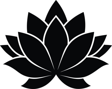 lotus flower silhouette