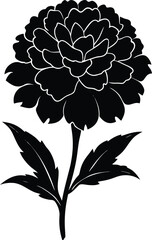 marigold flower silhouette 