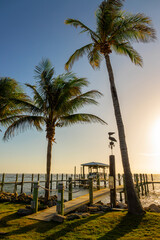 Boat pier and palm trees, sunset landscape on the Banana River in Cocoa Beach, Florida