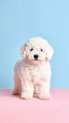 Fototapeta premium Adorable Komondor Puppy on Pastel Background, Generated image