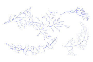 Set Floral branch monogram with elegant leaves Botanical rustic trendy greenery