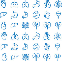 Human Organs Line Icon Set — Heart, Lungs, Stomach, Liver, Kidneys, Intestines, Bladder Vector