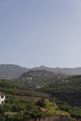 Terraced hills under soft sunlight, Madeira