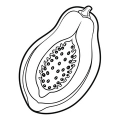 Fototapeta premium papaya fruit outline vector on white background
