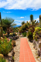 Obraz premium Walkway in exotic botanical garden in Eze village, French Riviera coast, France