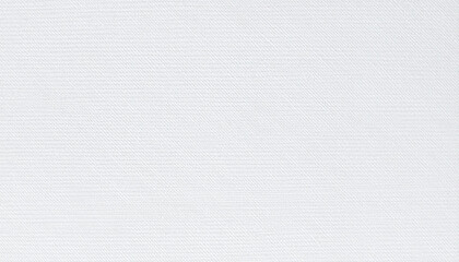 White Denim texture. Fabric Pattern. Material. Background. Wallpaper.