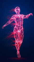 Digital illustration of human anatomy with red glowing veins or nerves. High-tech and abstract design concept perfect for healthcare, biotechnology, and science education themes.
