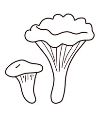 mushroom vector illustration of a mushroom