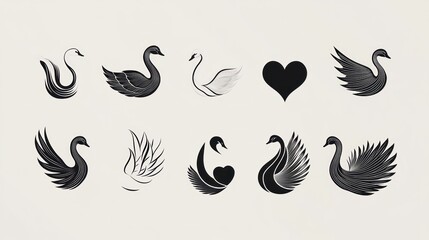 Elegant swan logo designs,  isolated on white
