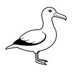 vector illustration of duck