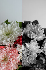 Beautiful Flowers Divided on Colored and Grayscale Parts Vertical Photo 
