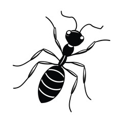 vector illustration of a ant