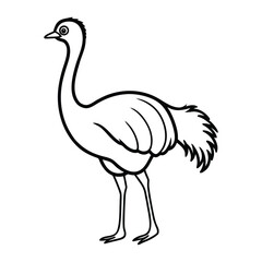 vector illustration of a bird