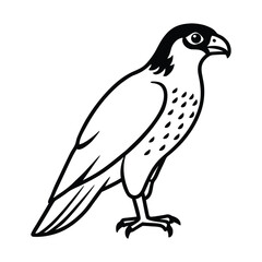 vector illustration of a bird