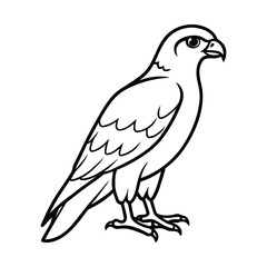 Fototapeta premium eagle isolated on white background