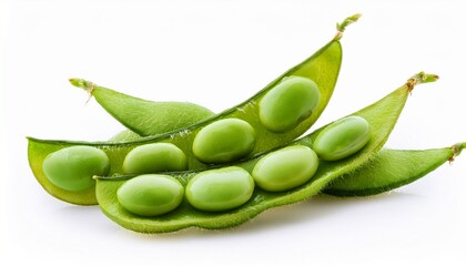 edamame green soy beans isolated