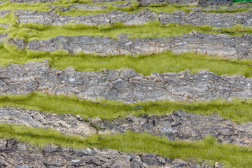 moss on stone construction texture