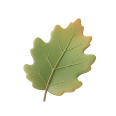 Green Leaf with Detailed Veins and Natural Texture